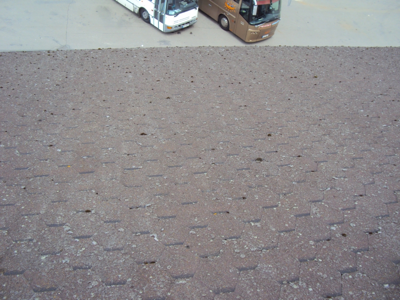 Renovační nátěr asfaltové šindelové střechy - Batelov - Obrázek 3