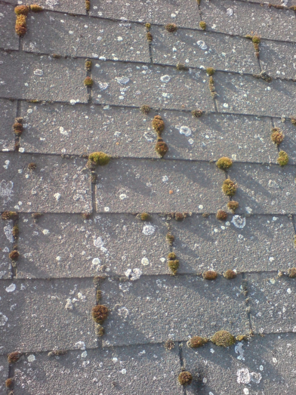 Očištění a ochranný nástřik asfaltové střechy - Obrázek 1