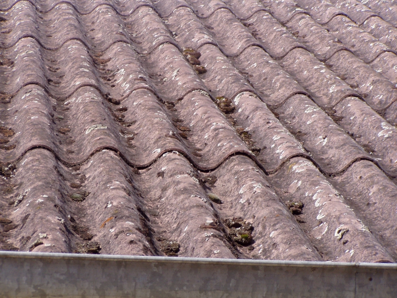 Nátěr vlnité eternitové střechy - Obrázek 1