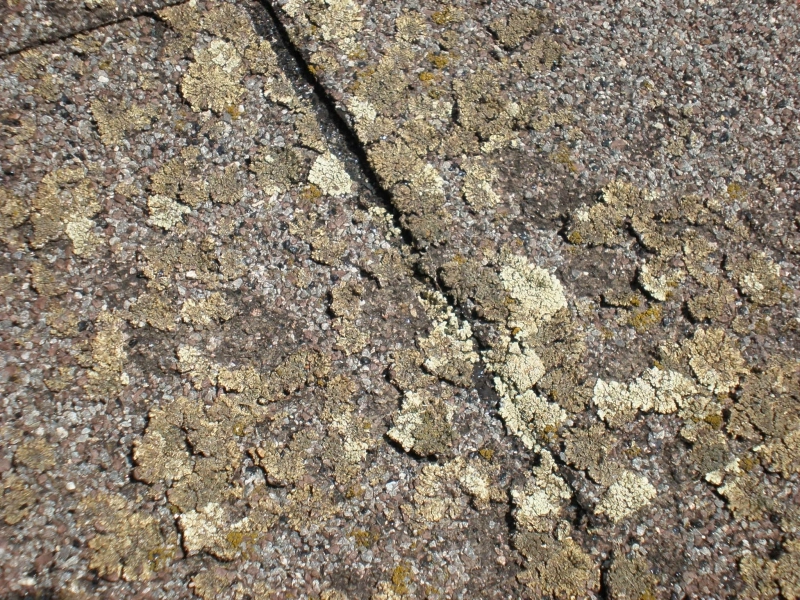 Nátěr asfaltové (šindelové) střechy